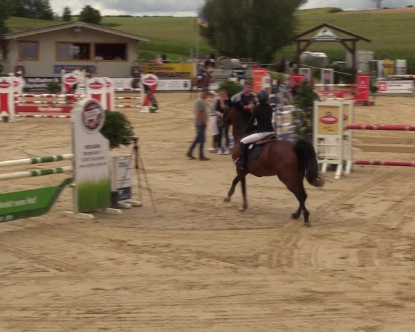 Reitturnier Duderstadt 2023