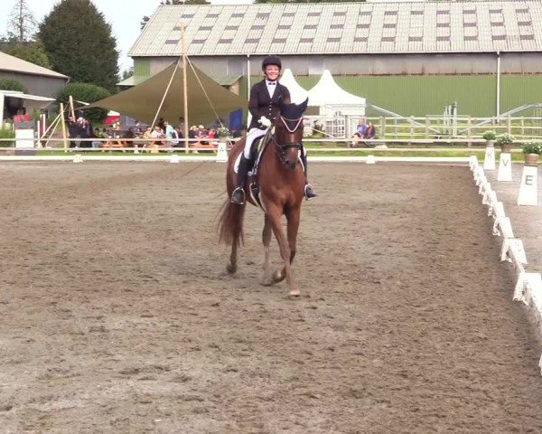Reitturnier Kleinsolt 2023