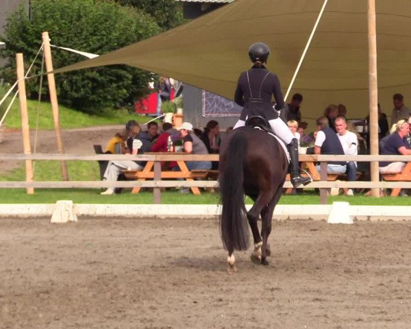 Reitturnier Kleinsolt 2023