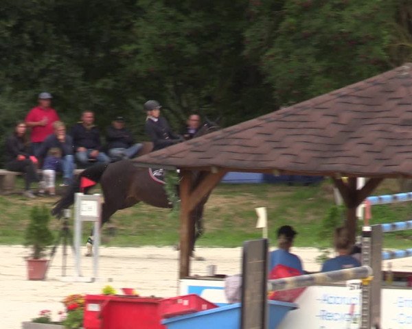 Reitturnier Pietzpuhl 2023