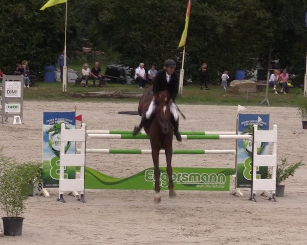 Reitturnier Pietzpuhl 2023