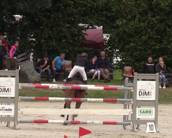 Reitturnier Pietzpuhl 2023