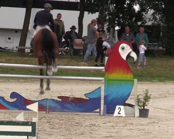 Reitturnier Pietzpuhl 2023