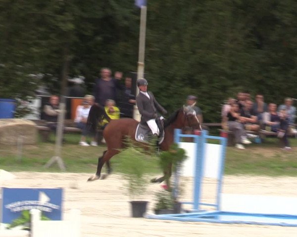 Reitturnier Pietzpuhl 2023