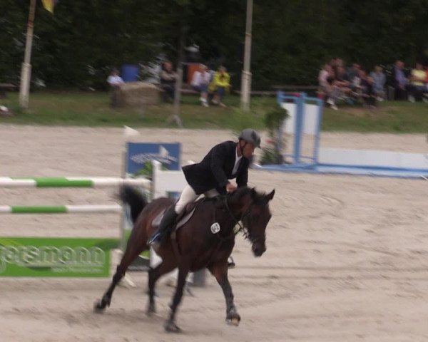 Reitturnier Pietzpuhl 2023