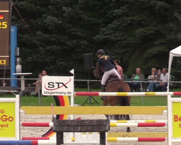 Reitturnier Pietzpuhl 2023