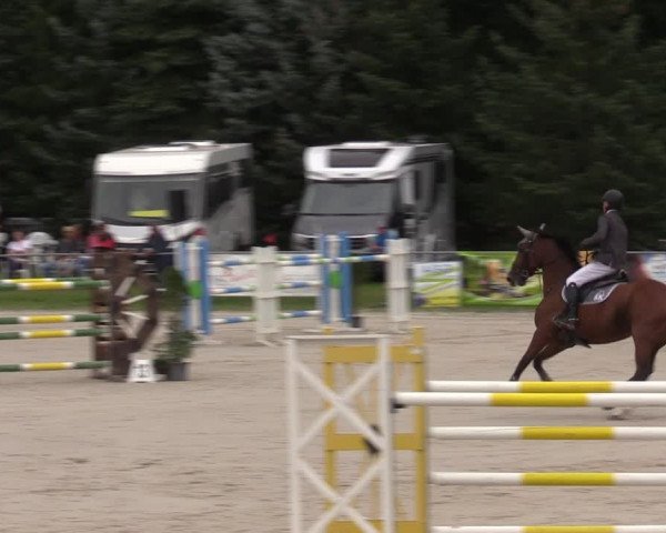 Reitturnier Pietzpuhl 2023
