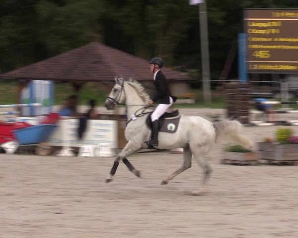 Reitturnier Pietzpuhl 2023