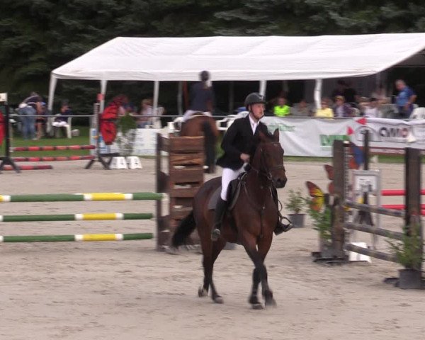 Reitturnier Pietzpuhl 2023