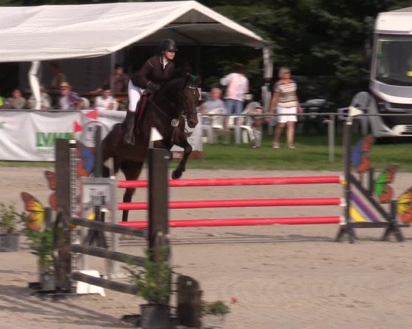 Reitturnier Pietzpuhl 2023
