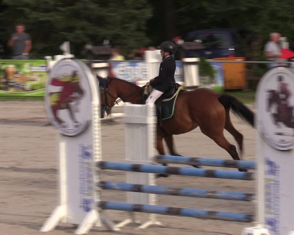Reitturnier Pietzpuhl 2023