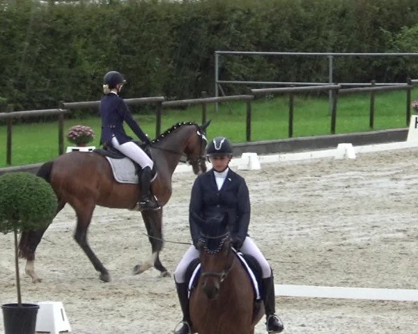 Reitturnier Werdenberg 2023
