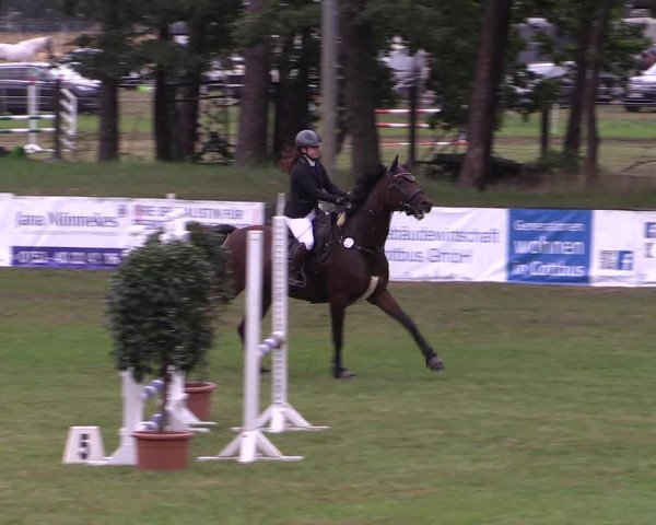 Reitturnier Cottbus-Sielow 2023