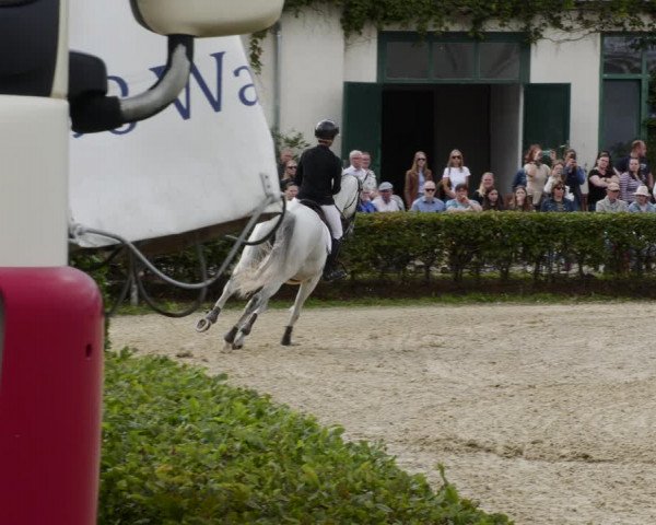 Reitturnier St.Wendel, Gestüt Welvert 2023