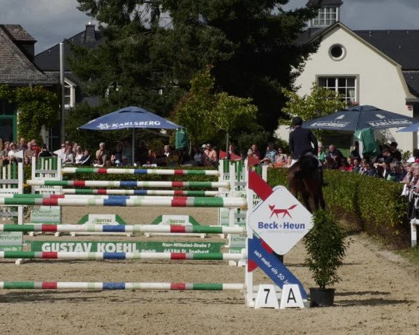 Reitturnier St.Wendel, Gestüt Welvert 2023