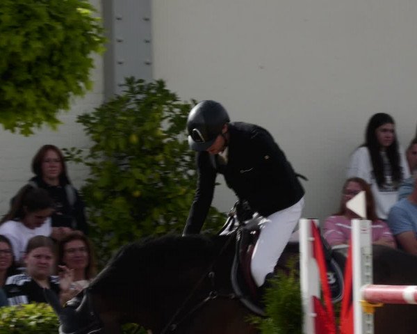 Reitturnier St.Wendel, Gestüt Welvert 2023