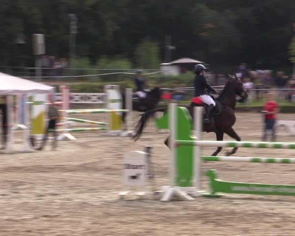 Reitturnier Lgl.-Oberhain, B95 2021