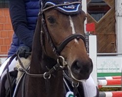 jumper Misses Millies (Holsteiner, 2019, from Origi D'o)