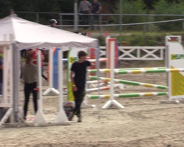 Reitturnier Lgl.-Oberhain, B95 2021