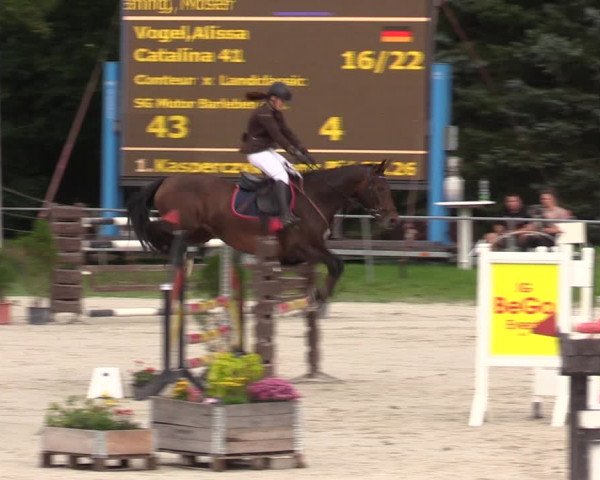 Reitturnier Pietzpuhl 2023