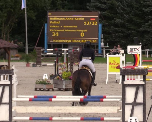 Reitturnier Pietzpuhl 2023