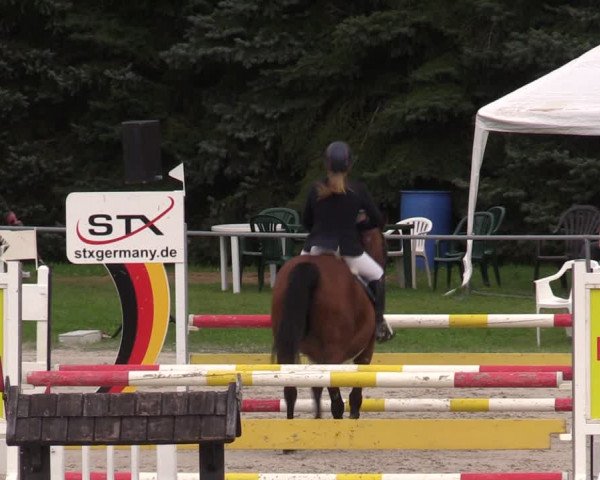 Reitturnier Pietzpuhl 2023
