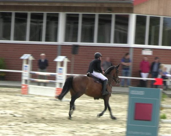 Reitturnier Werne 2023