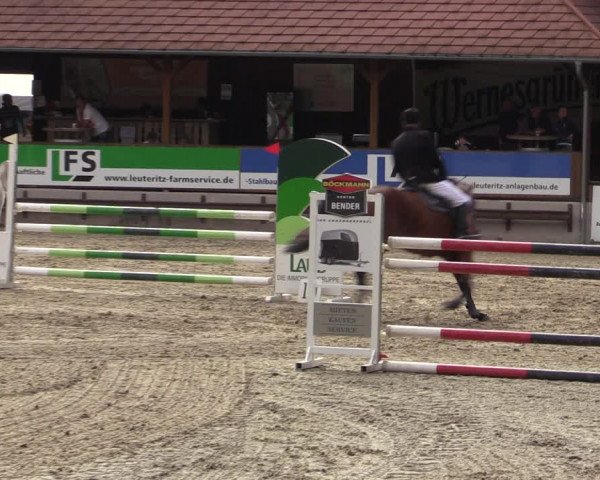 Reitturnier Lgl.-Oberhain, B95 2021