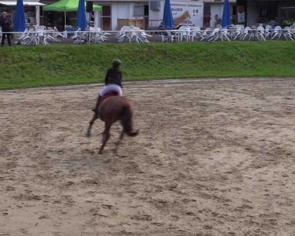 Reitturnier Viersen-Dülken 2023