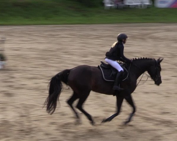 Reitturnier Viersen-Dülken 2023