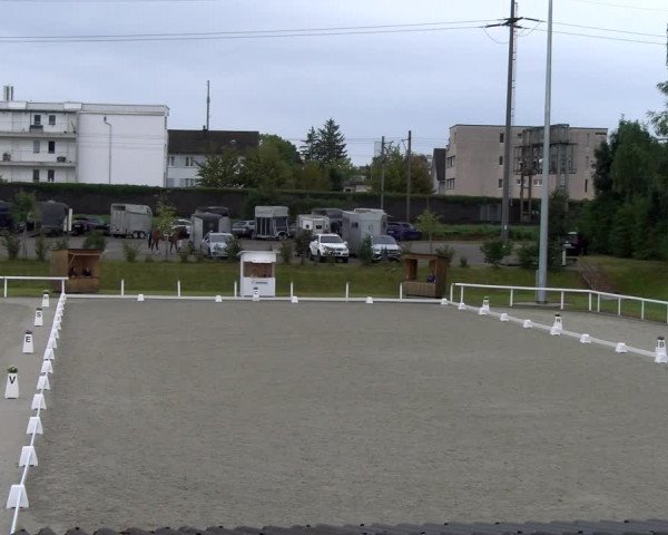 Reitturnier Bülach 2023