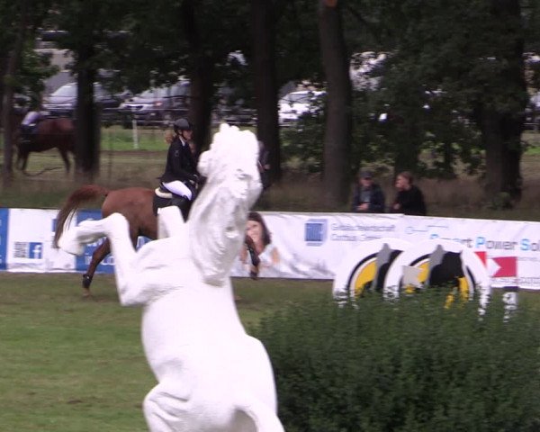 Reitturnier Cottbus-Sielow 2023