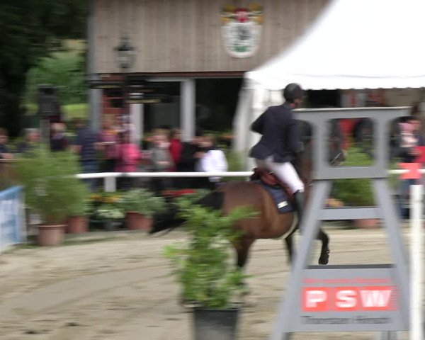Reitturnier Werne 2023