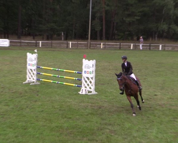 Reitturnier Cottbus-Sielow 2023