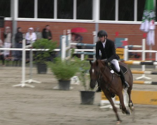 Reitturnier Werne 2023