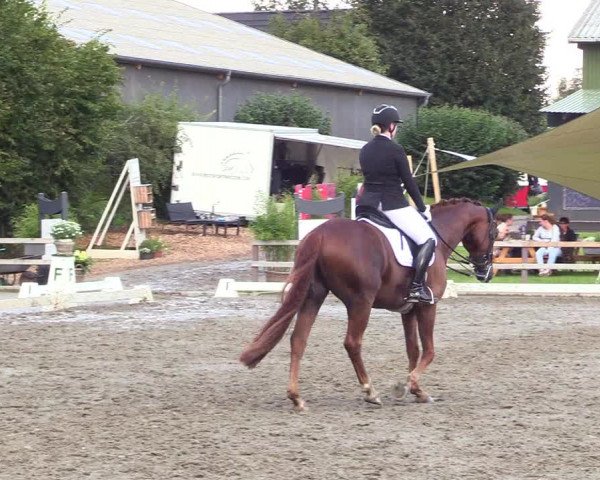 Reitturnier Kleinsolt 2023