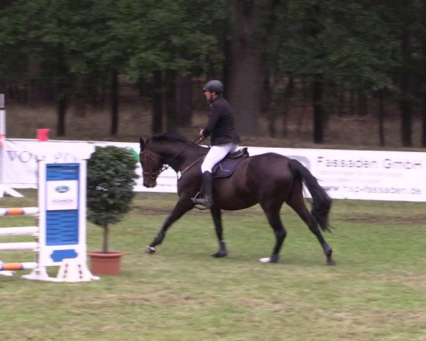 Reitturnier Cottbus-Sielow 2023