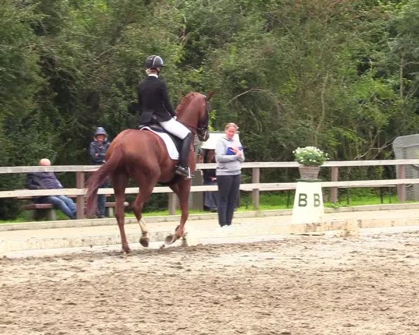 Reitturnier Kleinsolt 2023