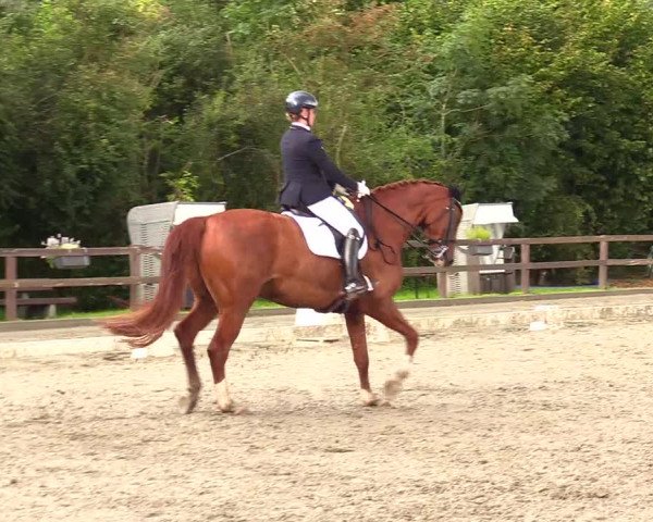 Reitturnier Kleinsolt 2023