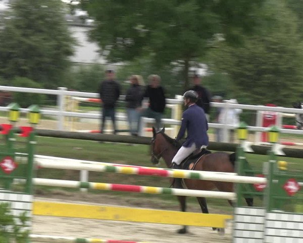 Reitturnier Werne 2023