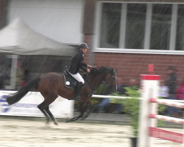 Reitturnier Werne 2023