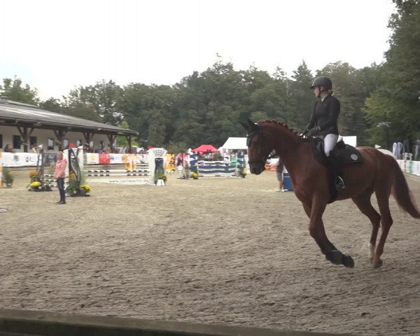 Reitturnier Solingen 2023