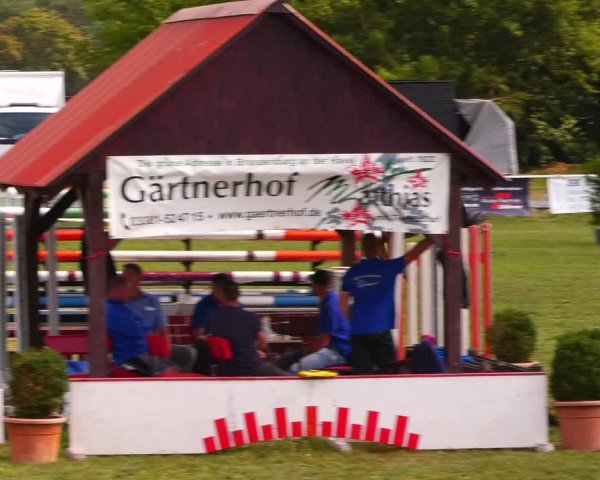 Reitturnier Reckahn 2023