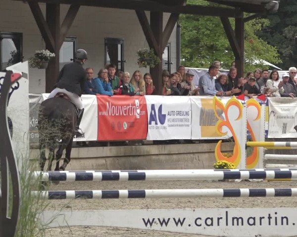 Reitturnier Solingen 2023