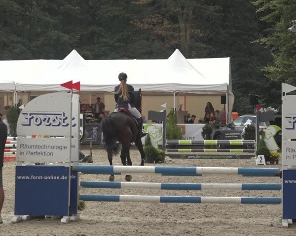 Reitturnier Solingen 2023