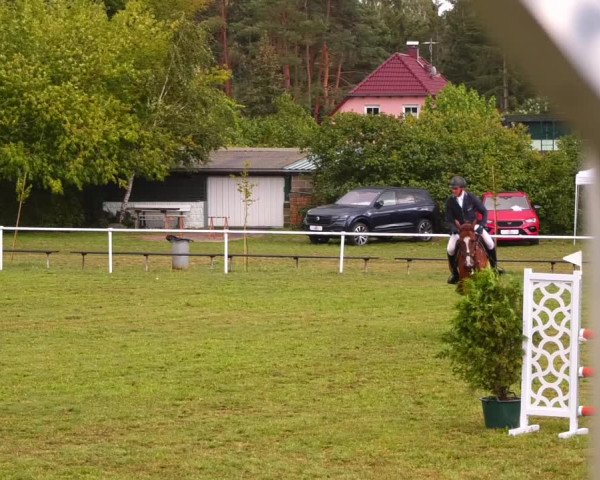 Reitturnier Reckahn 2023