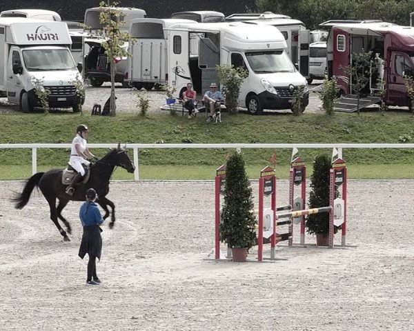 Pferdesporttage Bülach 2021