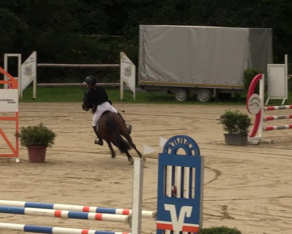 Reitturnier Viersen-Dülken 2023