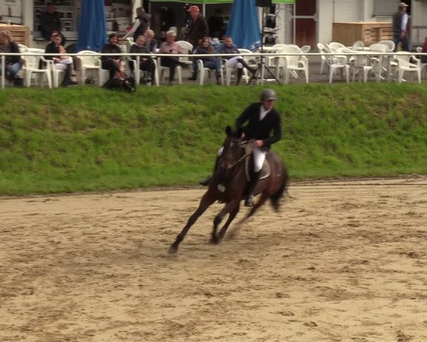 Reitturnier Viersen-Dülken 2023