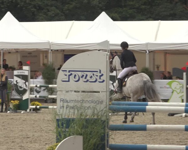 Reitturnier Solingen 2023